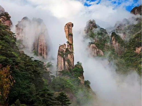 经验参考丨浅析旅游景区运营管理 旅游景点建设运营